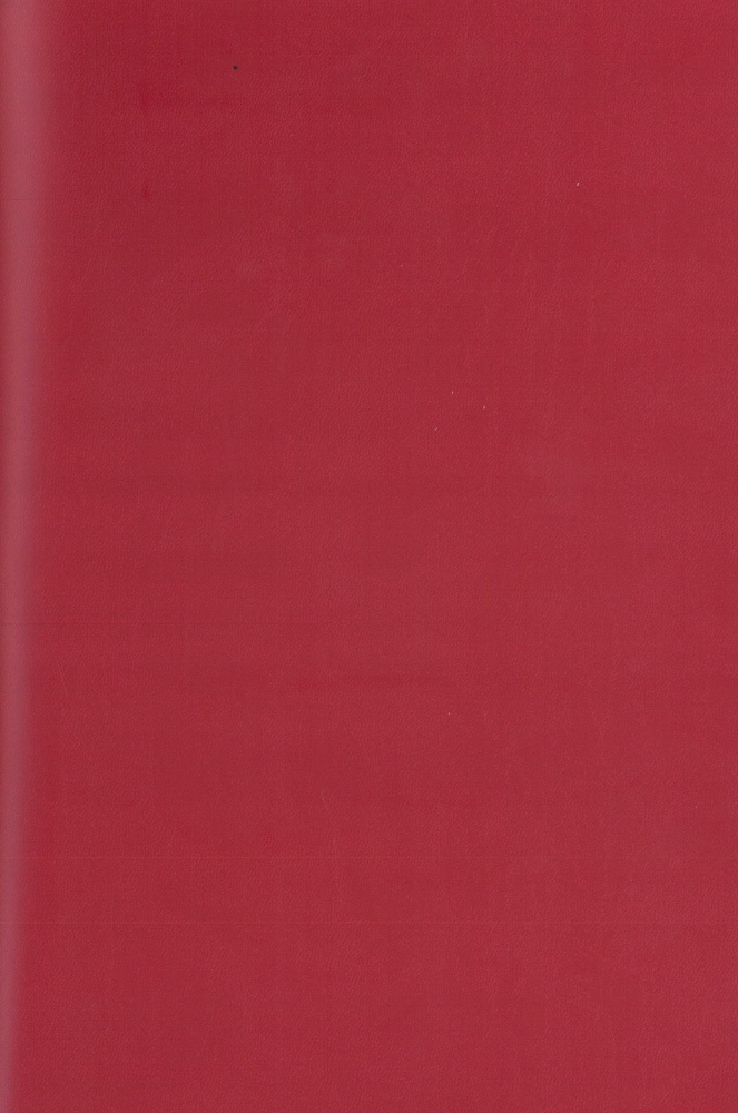 Pisa Rosso Chiaro